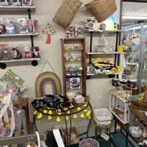 Hello Kitty, Rubber Ducks & Kawaii Collectibles - Shop 93