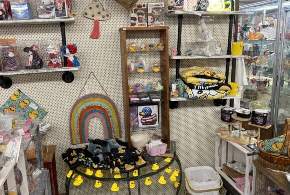 Shop 93 – Hello Kitty, Rubber Ducks & Kawaii Collectibles