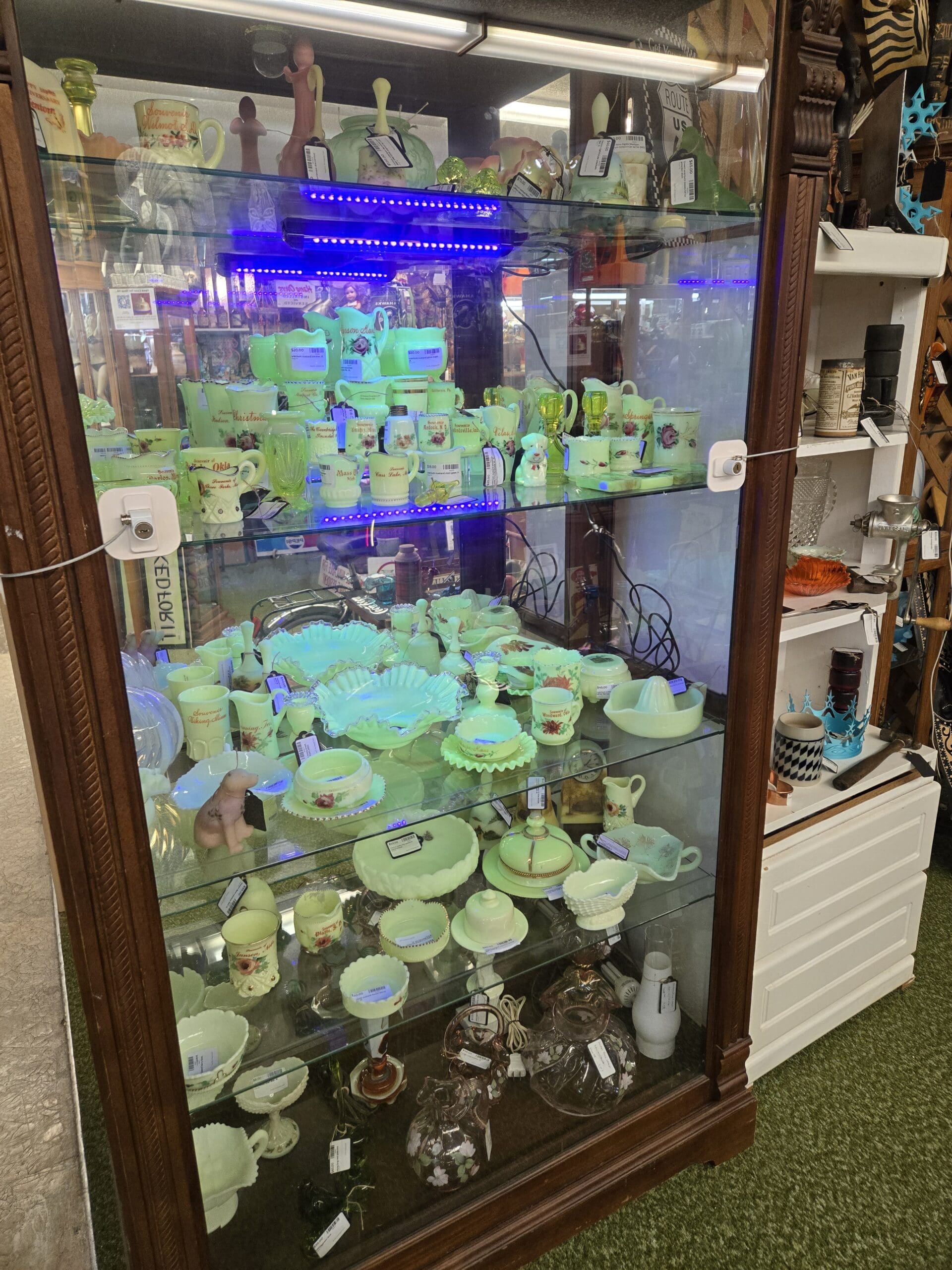 Extensive collection of custard glass and uranium glass glowing under UV blacklight, including souvenir mugs with hand-painted floral designs, ruffled edge bowls, crimped dishes, creamers, sugar bowls, compotes, footed candy dishes, and small pitchers in pale green and yellow custard tones, alongside vintage glass oil lamp bases at Shop 79, Pacific Antiques Mall in Tacoma, WA.