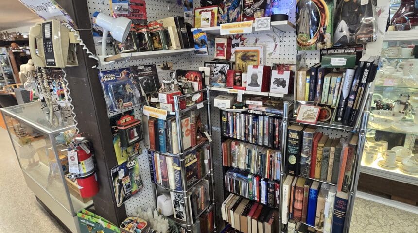 Boy Scout Books & Sci-Fi Collectibles - Shop 213