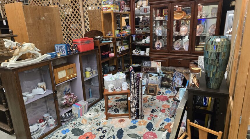 Shop 116 - Princess Diana Collector Plates in Tacoma WA